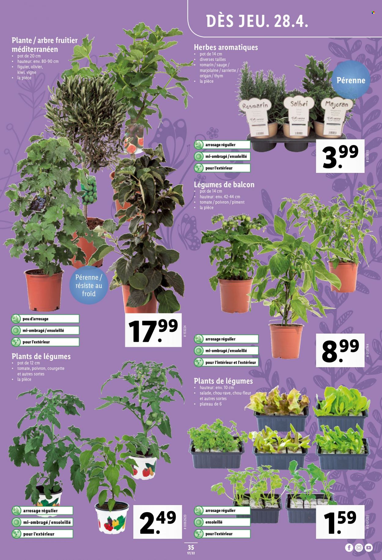 Catalogue Lidl - 28.4.2022 - 4.5.2022. Page 35