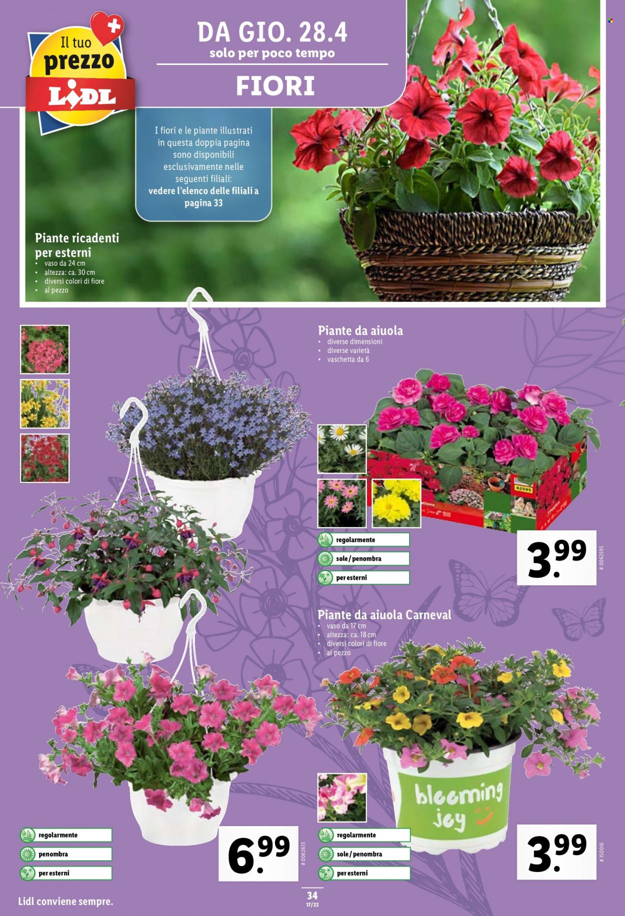 Volantino Lidl - 28.4.2022 - 4.5.2022. Pagina 34