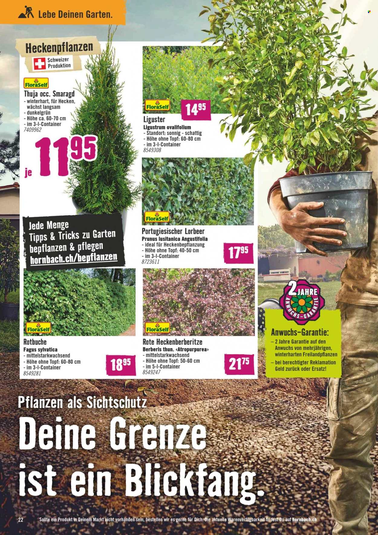 Prospekt Hornbach - 25.4.2022 - 25.5.2022. Seite 22