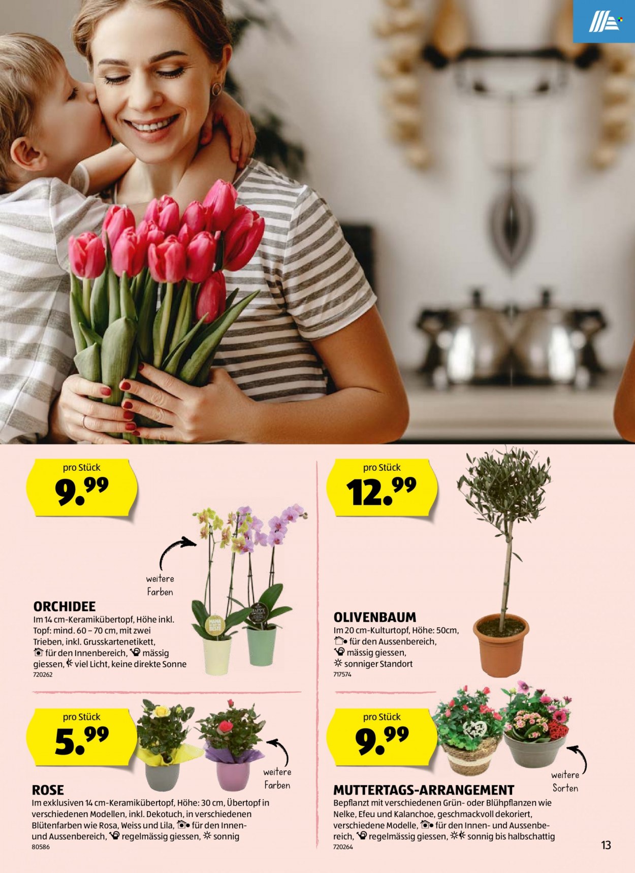 Volantino Aldi - 5.5.2022 - 11.5.2022. Pagina 13