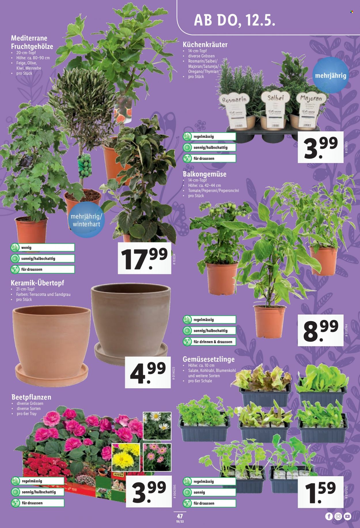 Prospekt Lidl - 12.5.2022 - 18.5.2022. Seite 47