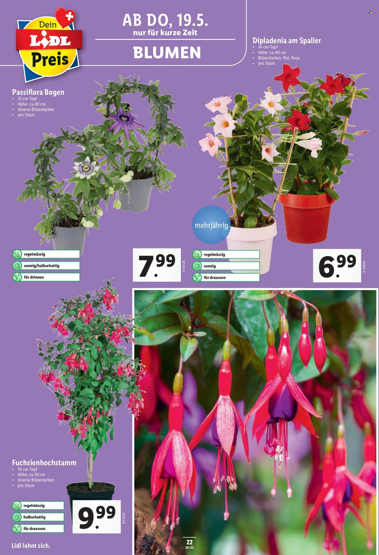 Prospekt Lidl - 19.5.2022 - 24.5.2022. Seite 22