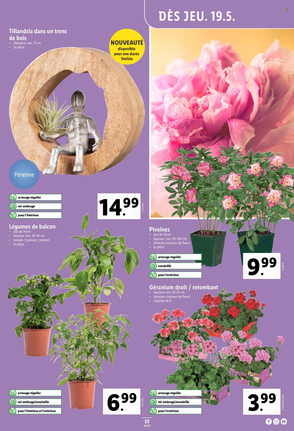 Prospekt Lidl - 19.5.2022 - 24.5.2022. Seite 23