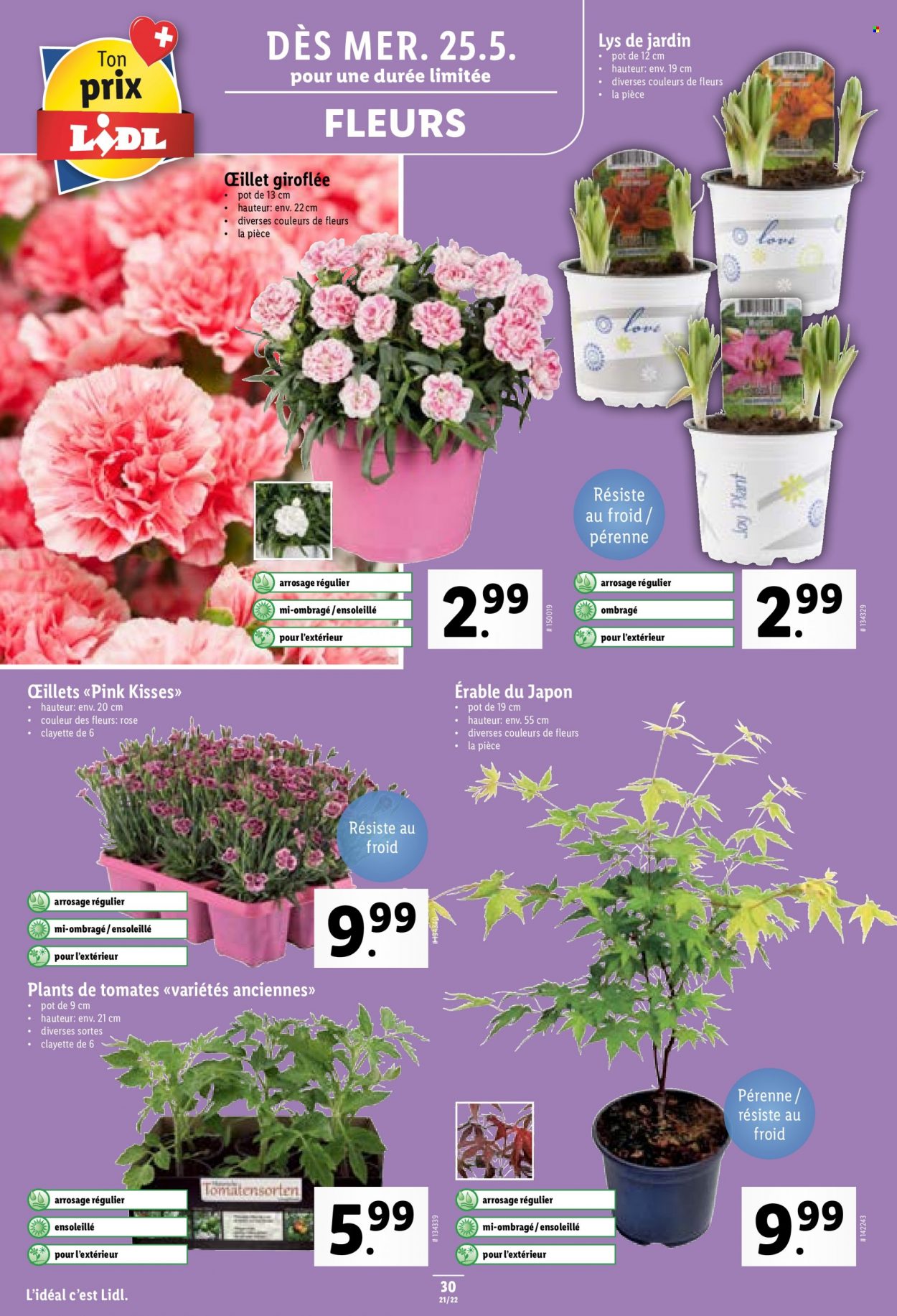 Prospekt Lidl - 25.5.2022 - 1.6.2022. Seite 30