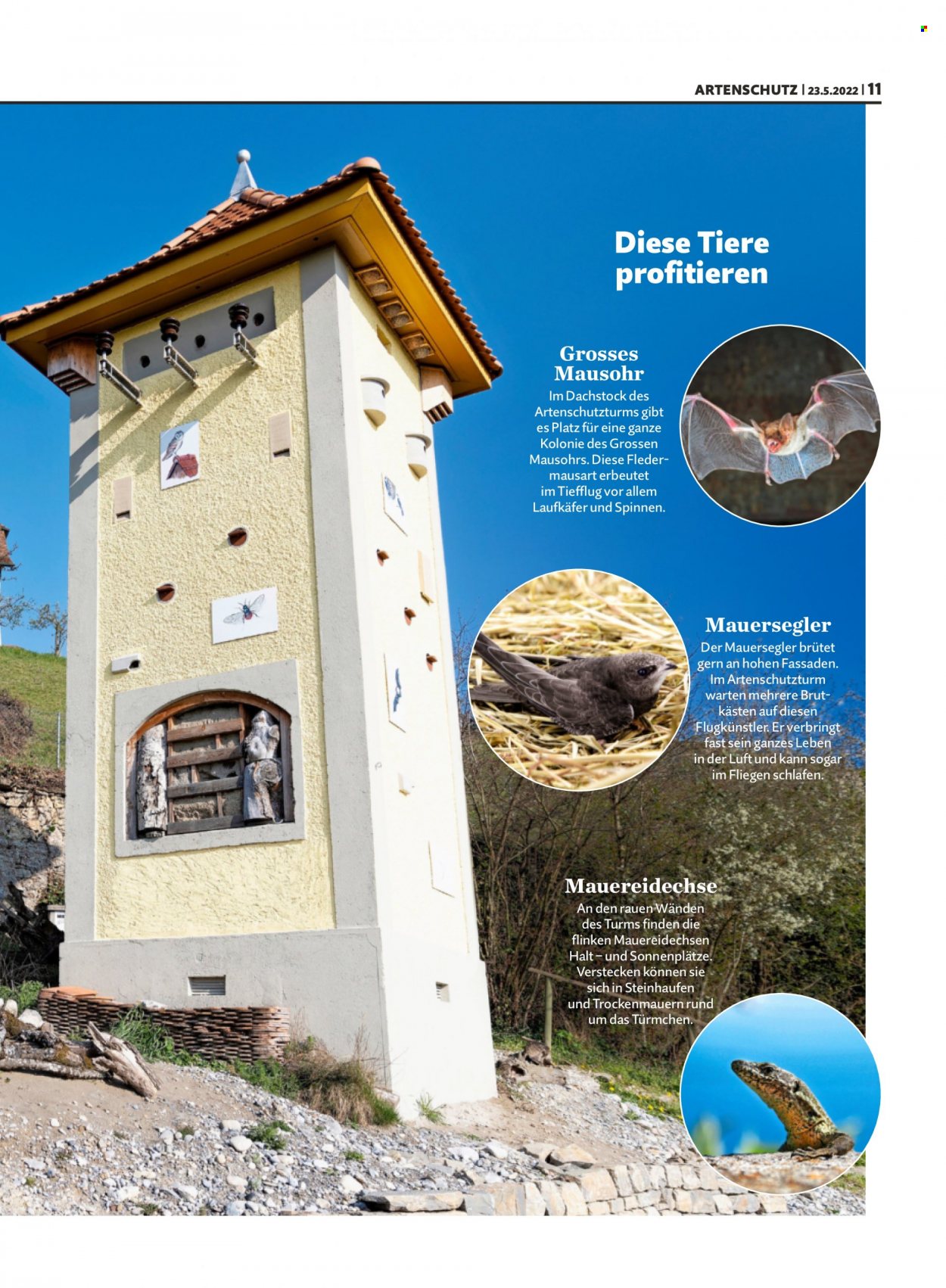 Volantino Migros - 23.5.2022 - 29.5.2022. Pagina 11