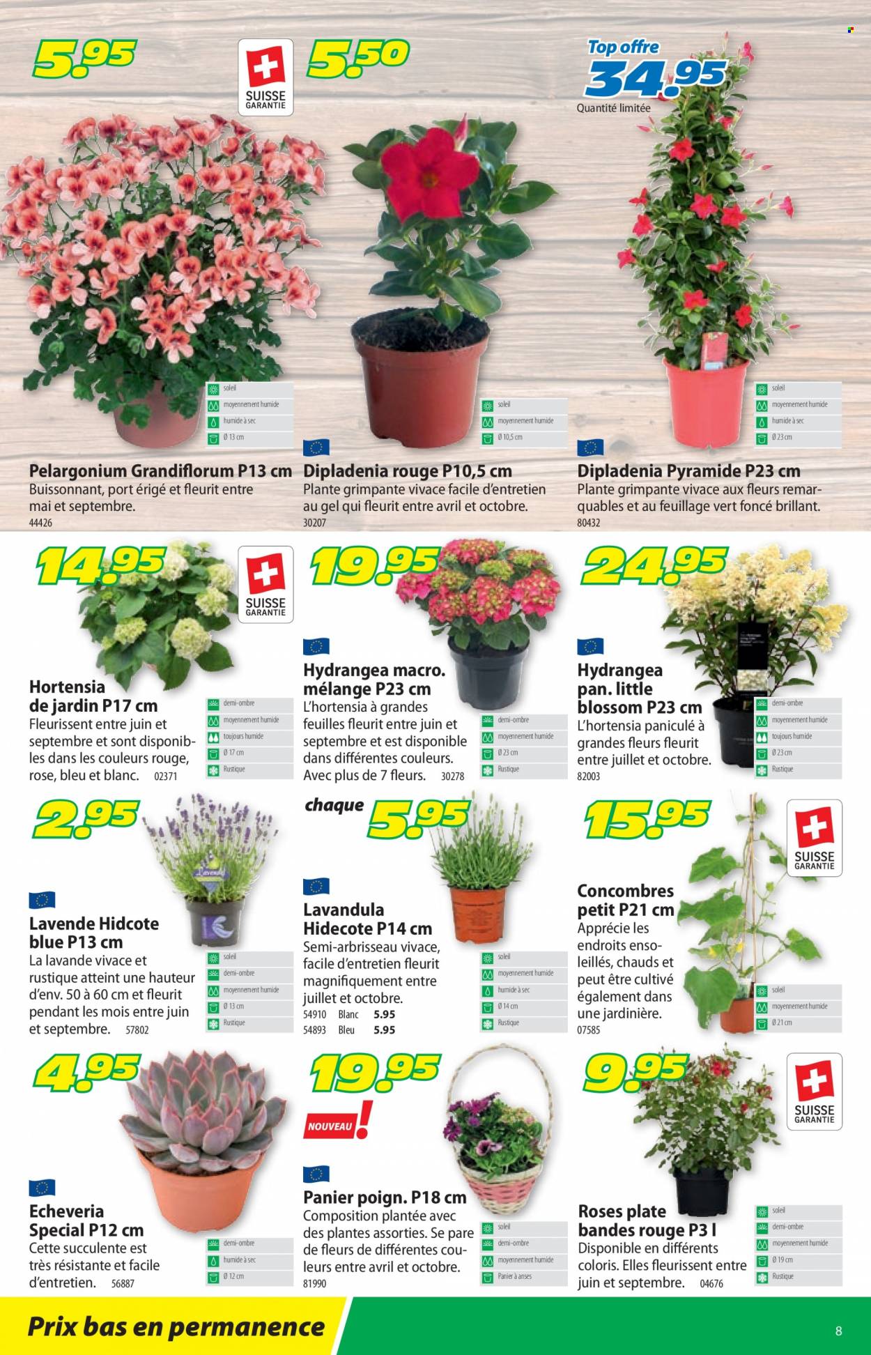 Catalogue Landi - 30.5.2022 - 11.6.2022. Page 12