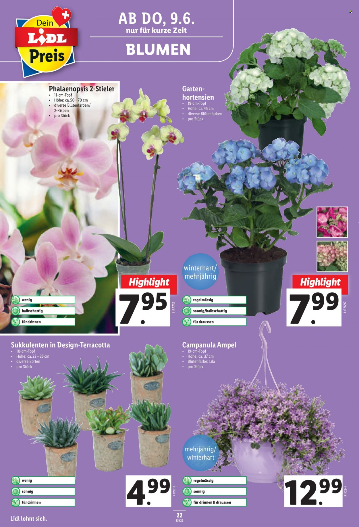 Volantino Lidl - 9.6.2022 - 15.6.2022. Pagina 22