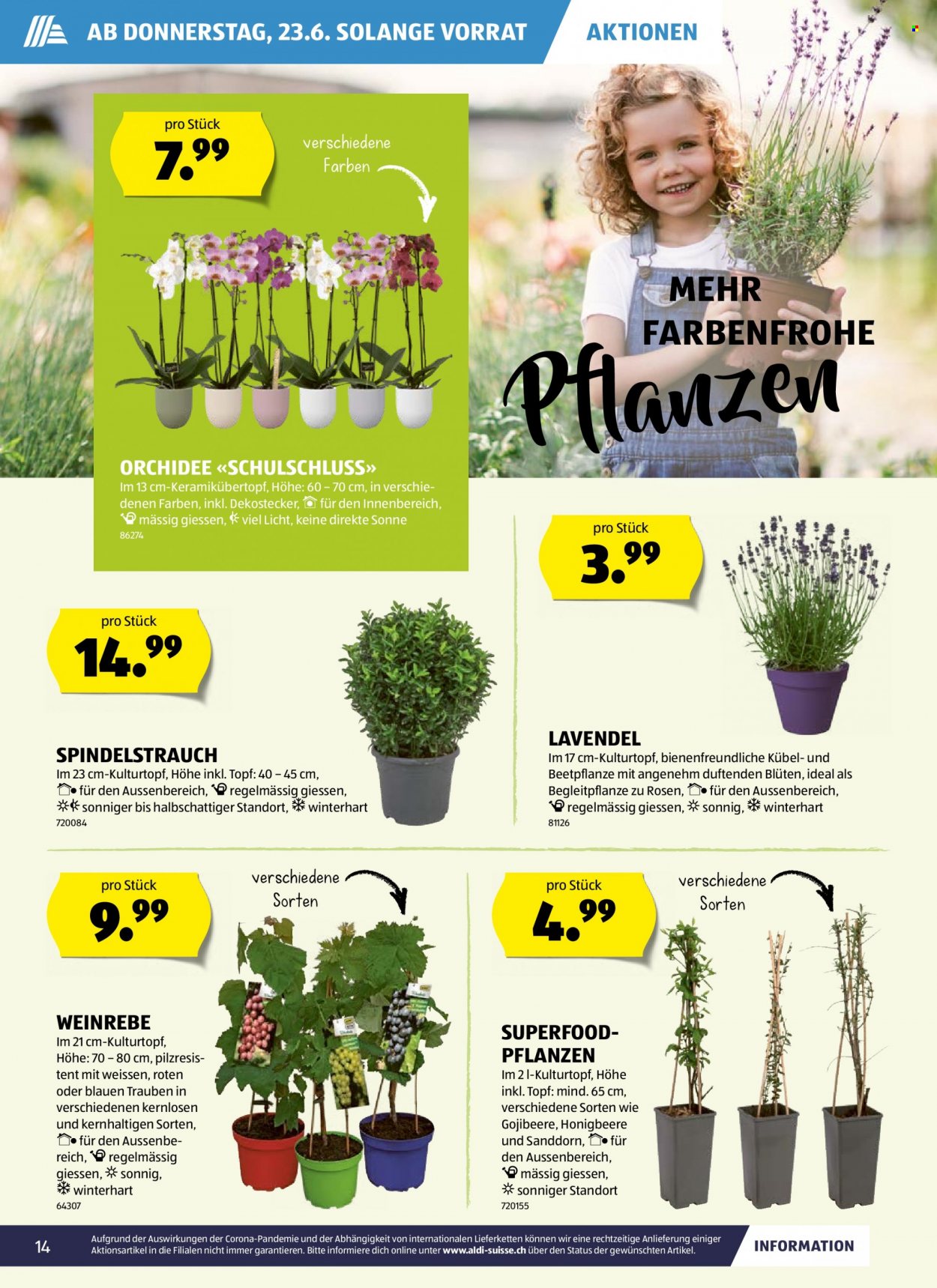Volantino Aldi - 23.6.2022 - 29.6.2022. Pagina 14