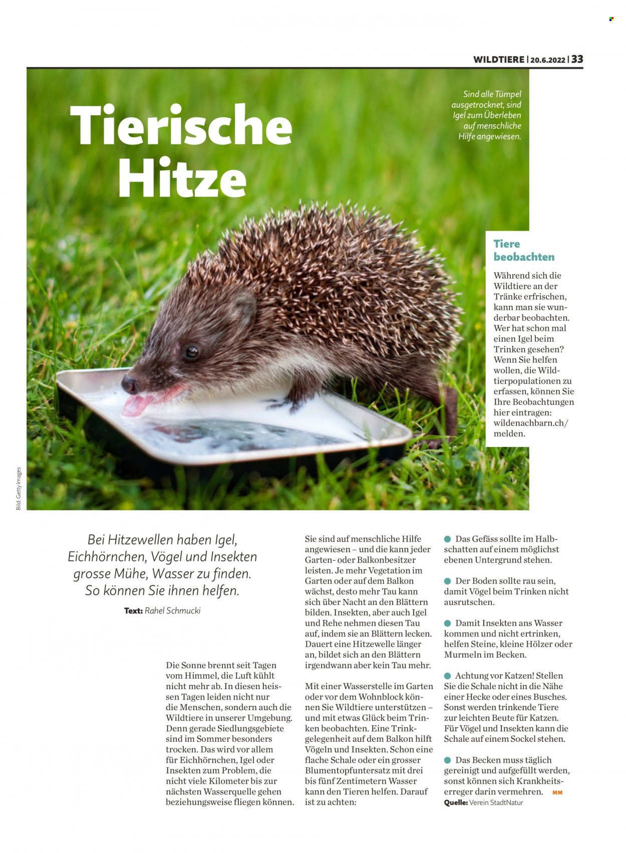 Catalogue Migros - 20.6.2022 - 26.6.2022. Page 33