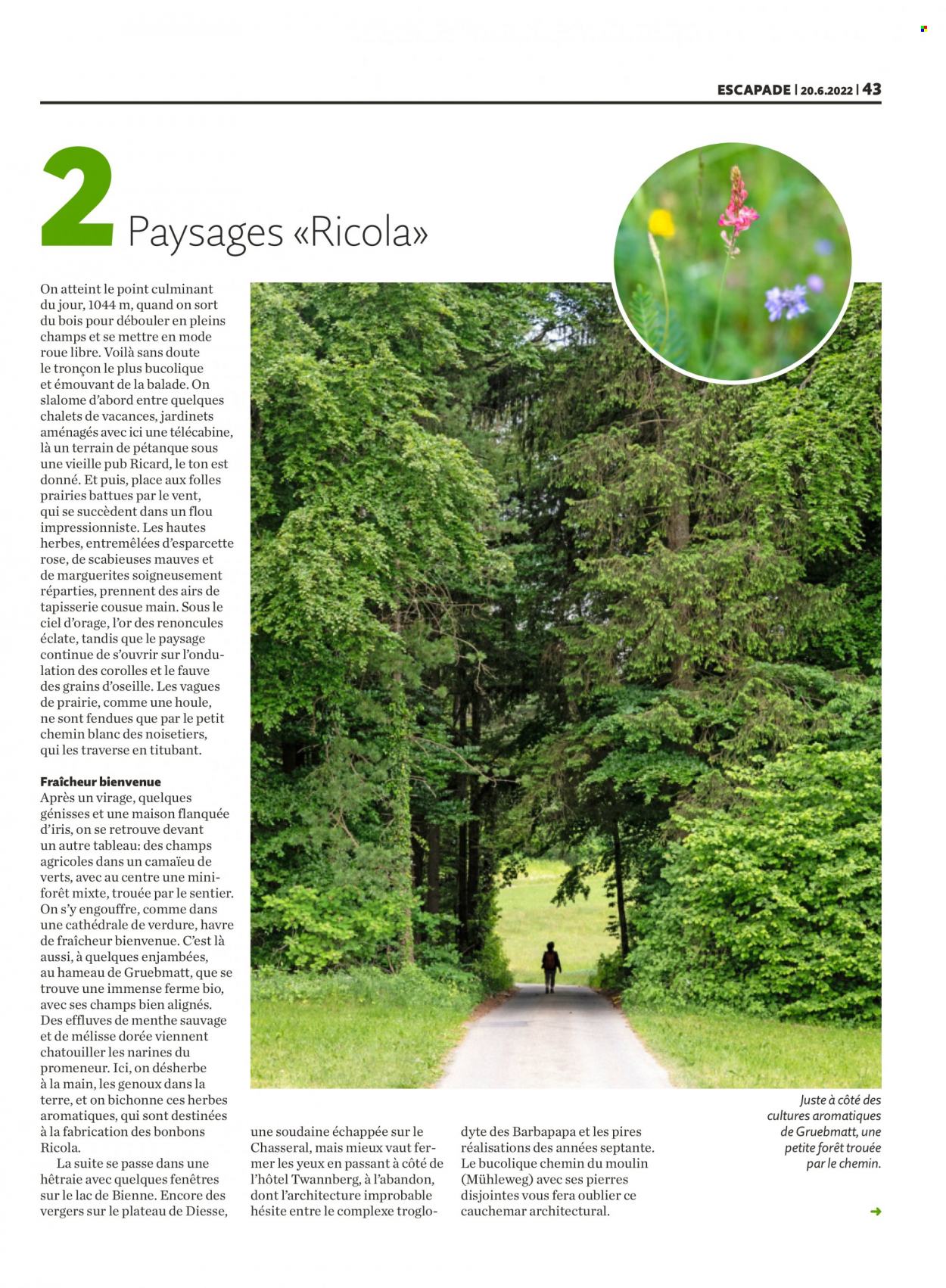 Volantino Migros - 20.6.2022 - 26.6.2022. Pagina 43