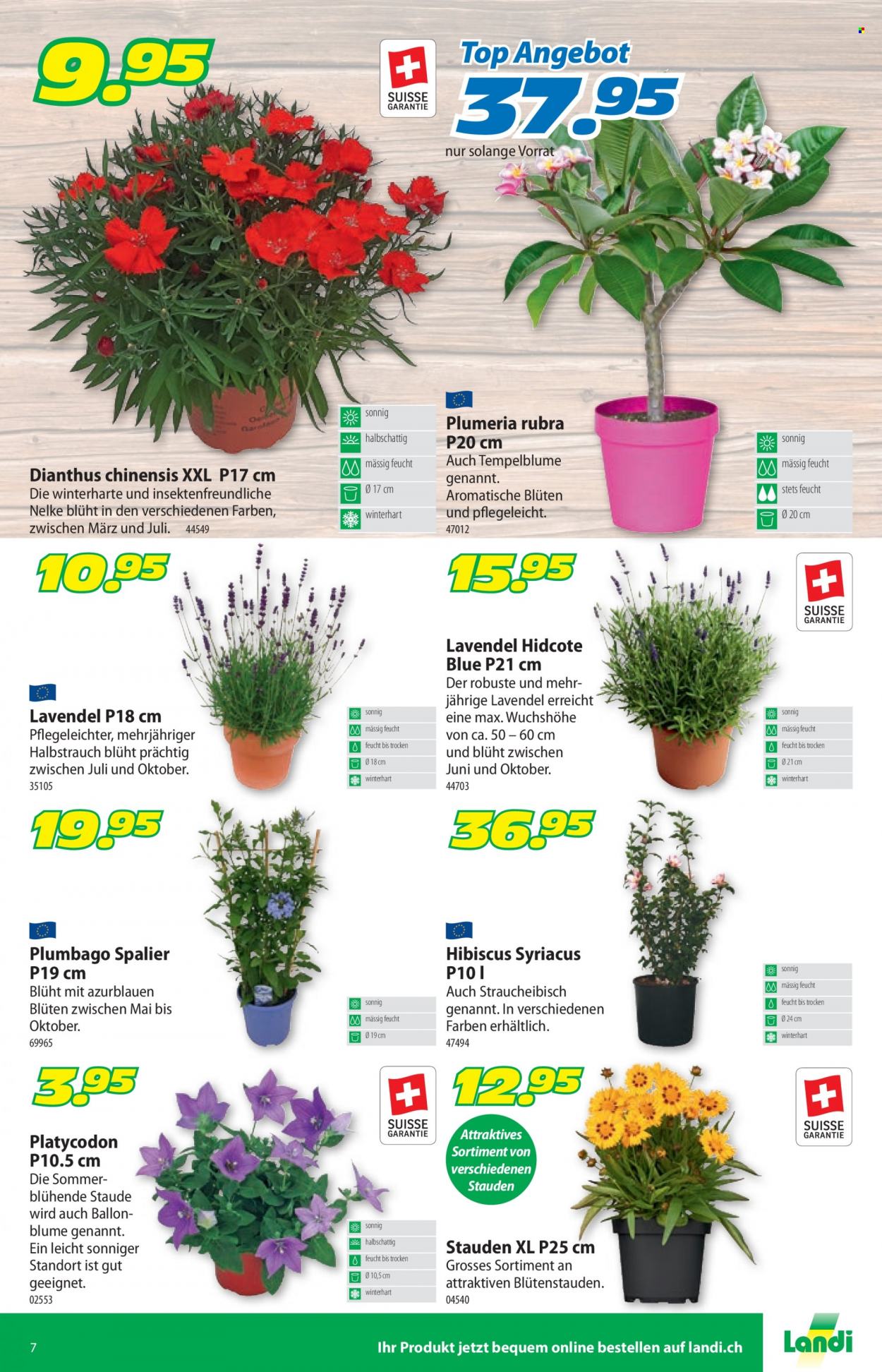 Prospekt Landi - 27.6.2022 - 9.7.2022. Seite 11