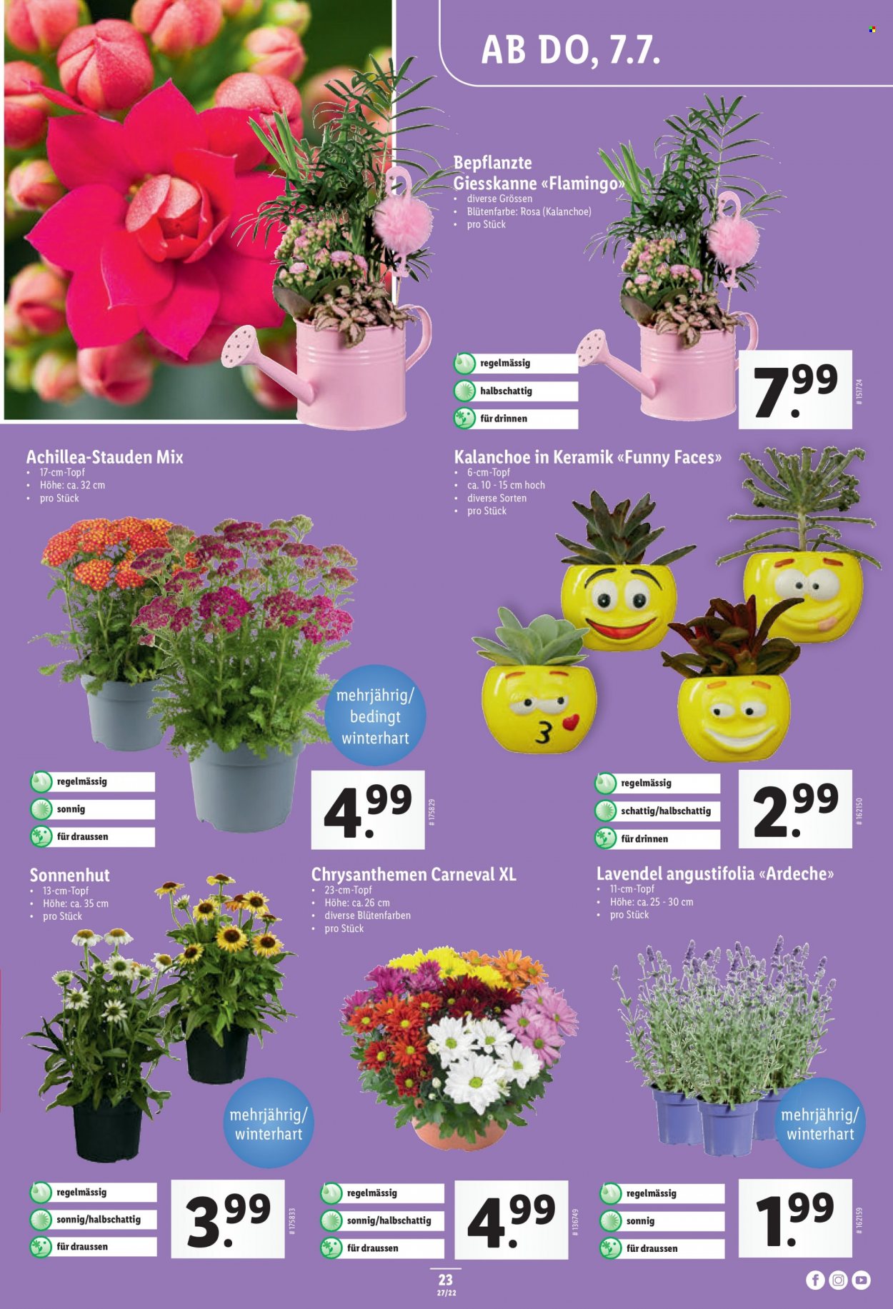 Prospekt Lidl - 7.7.2022 - 13.7.2022. Seite 23