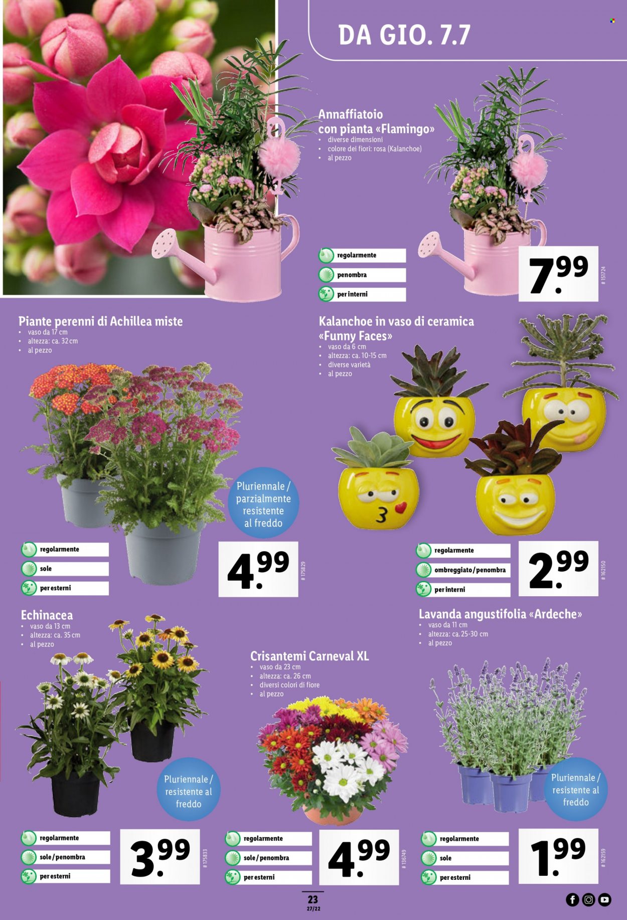 Catalogue Lidl - 7.7.2022 - 13.7.2022. Page 23