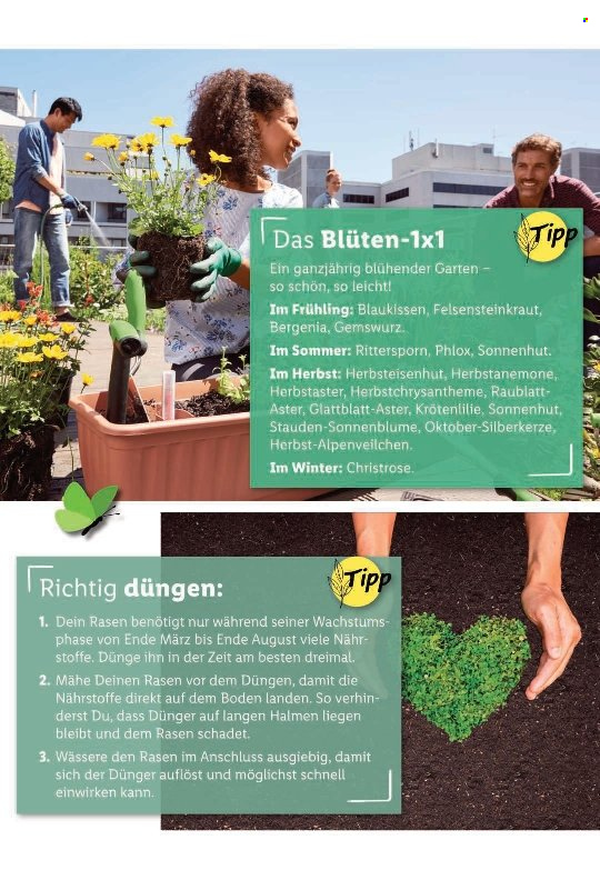Volantino Lidl - 14.7.2022 - 20.7.2022. Pagina 75