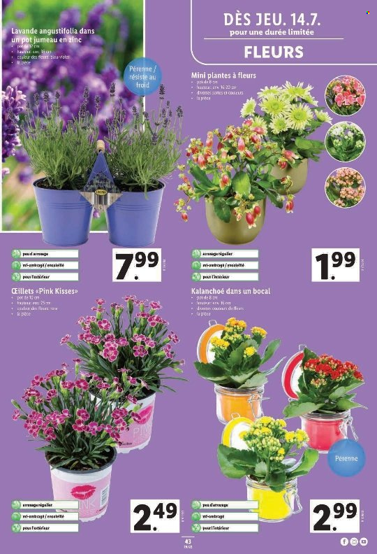 Volantino Lidl - 14.7.2022 - 20.7.2022. Pagina 43