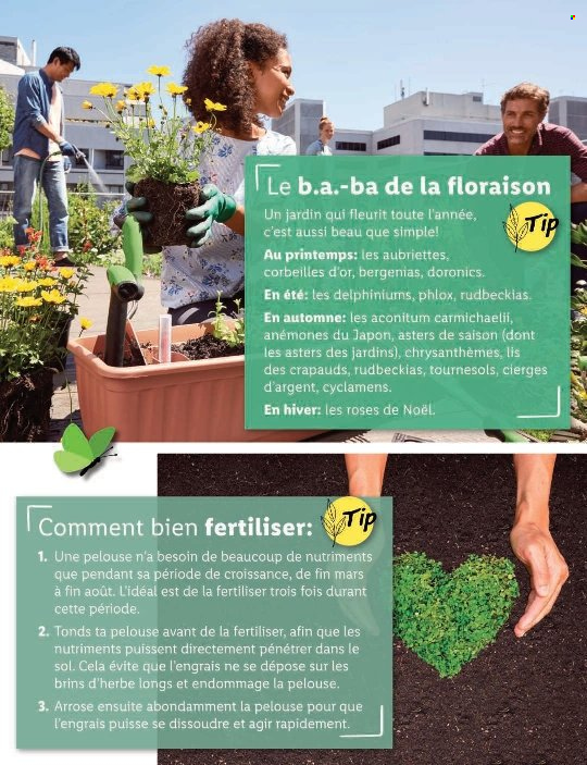Volantino Lidl - 14.7.2022 - 20.7.2022. Pagina 75