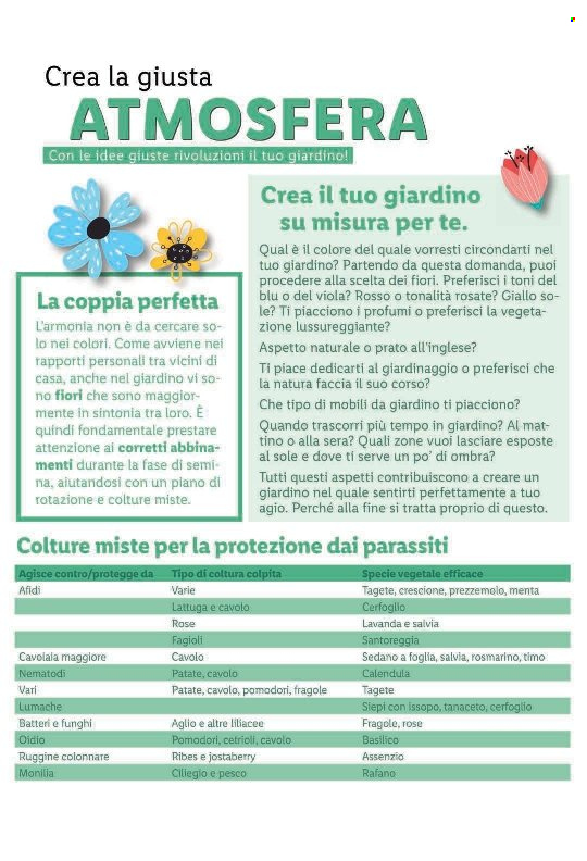 Catalogue Lidl - 14.7.2022 - 20.7.2022. Page 83