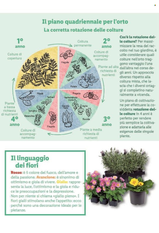Catalogue Lidl - 14.7.2022 - 20.7.2022. Page 84