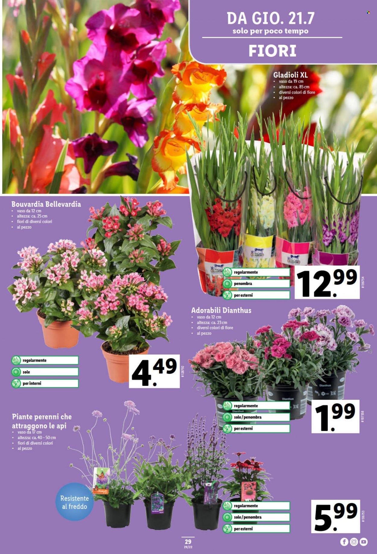 Volantino Lidl - 21.7.2022 - 27.7.2022. Pagina 29