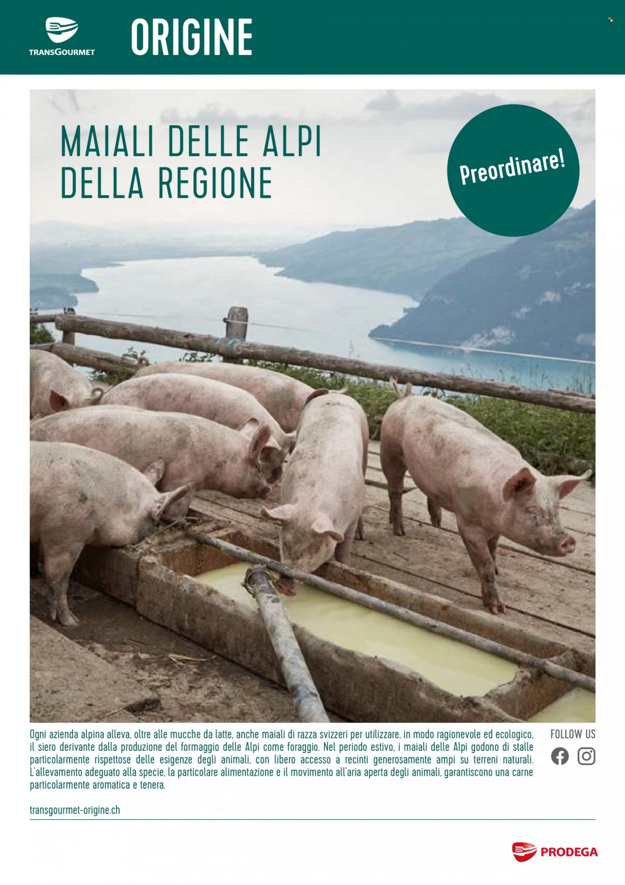 Volantino Prodega - 21.7.2022 - 19.8.2022. Pagina 1
