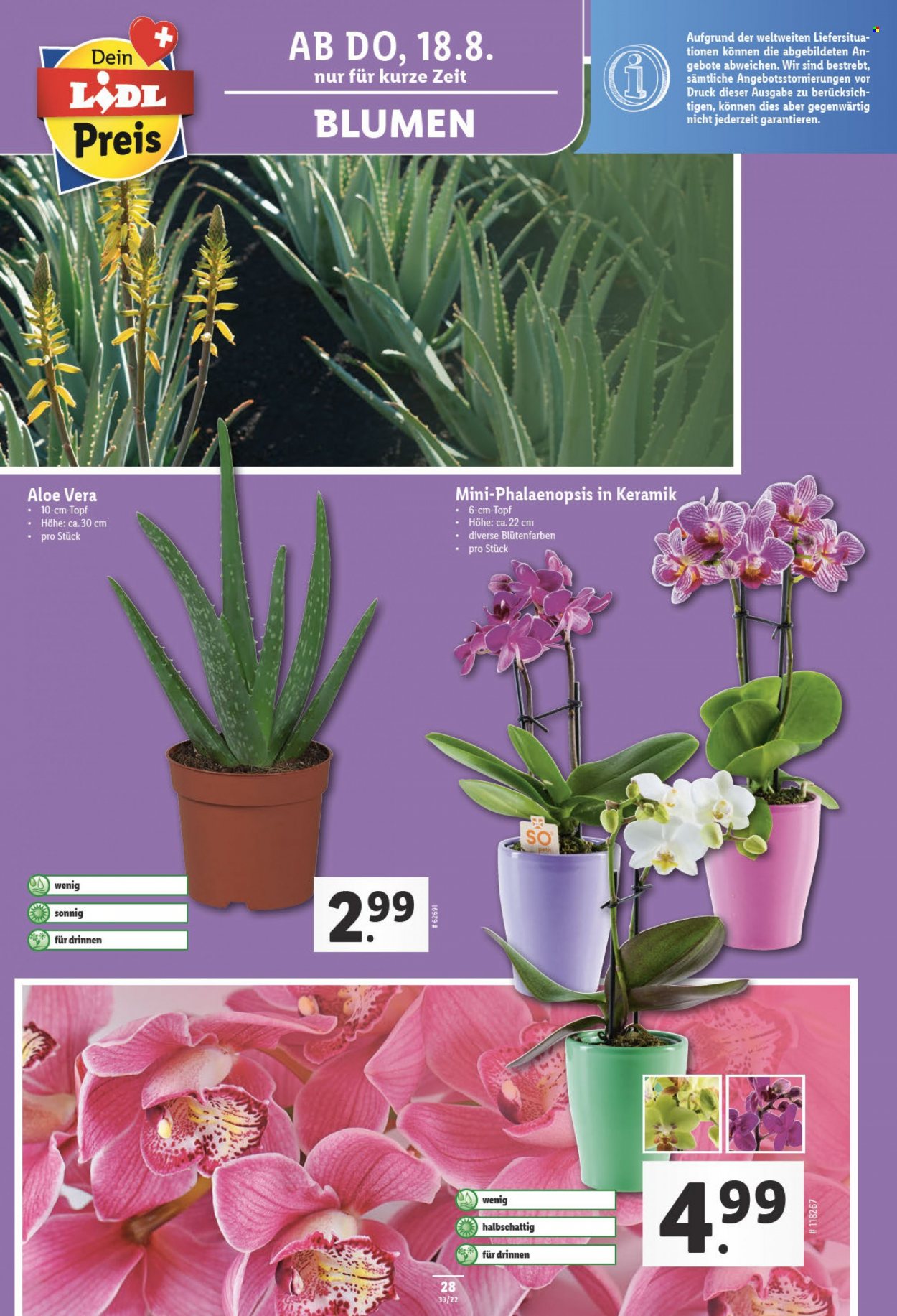 Prospekt Lidl - 18.8.2022 - 24.8.2022. Seite 28