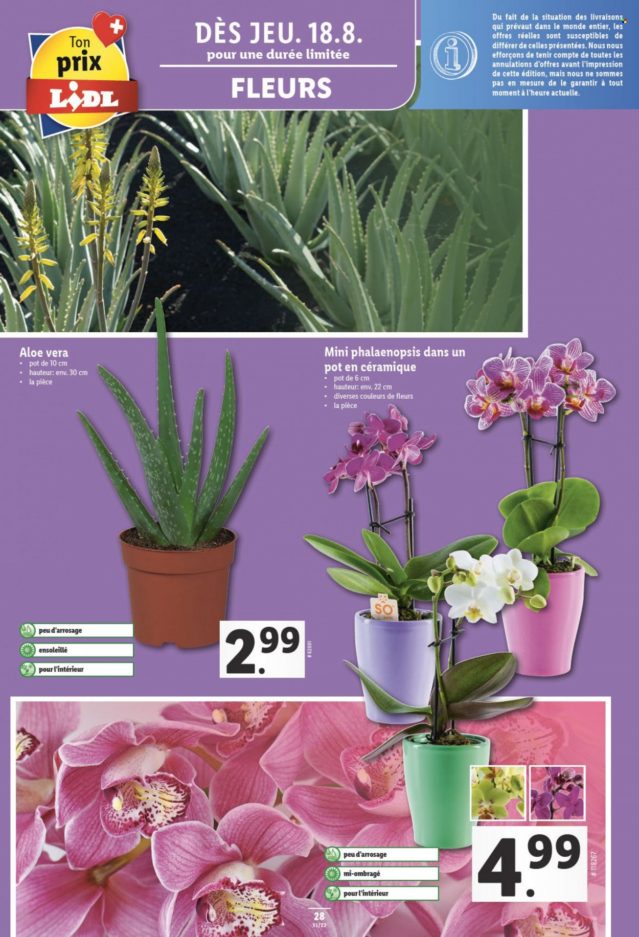 Volantino Lidl - 18.8.2022 - 24.8.2022. Pagina 28