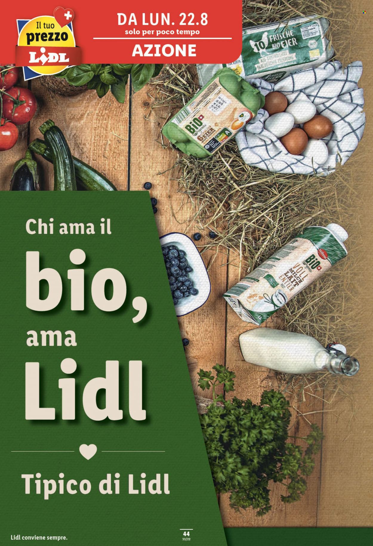 Prospekt Lidl - 18.8.2022 - 24.8.2022. Seite 44
