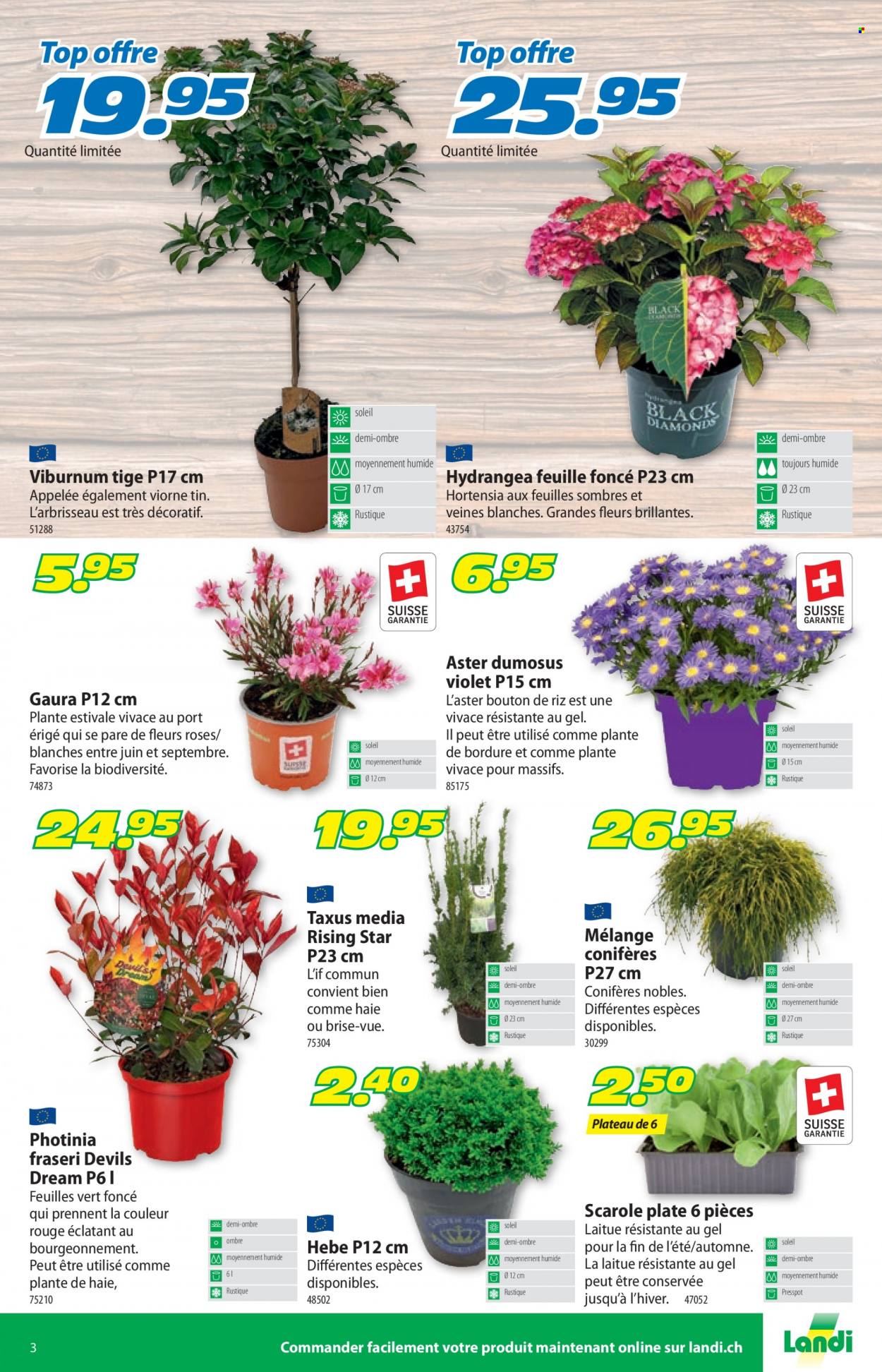Catalogue Landi - 22.8.2022 - 3.9.2022. Page 3