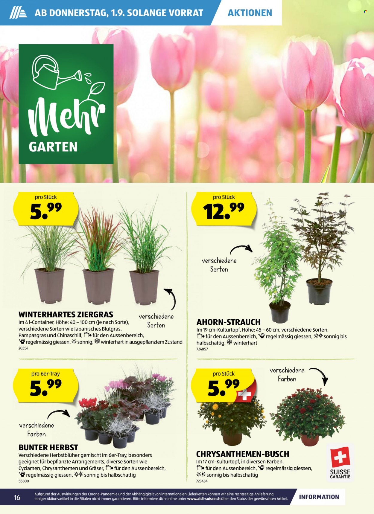 Volantino Aldi - 1.9.2022 - 7.9.2022. Pagina 16