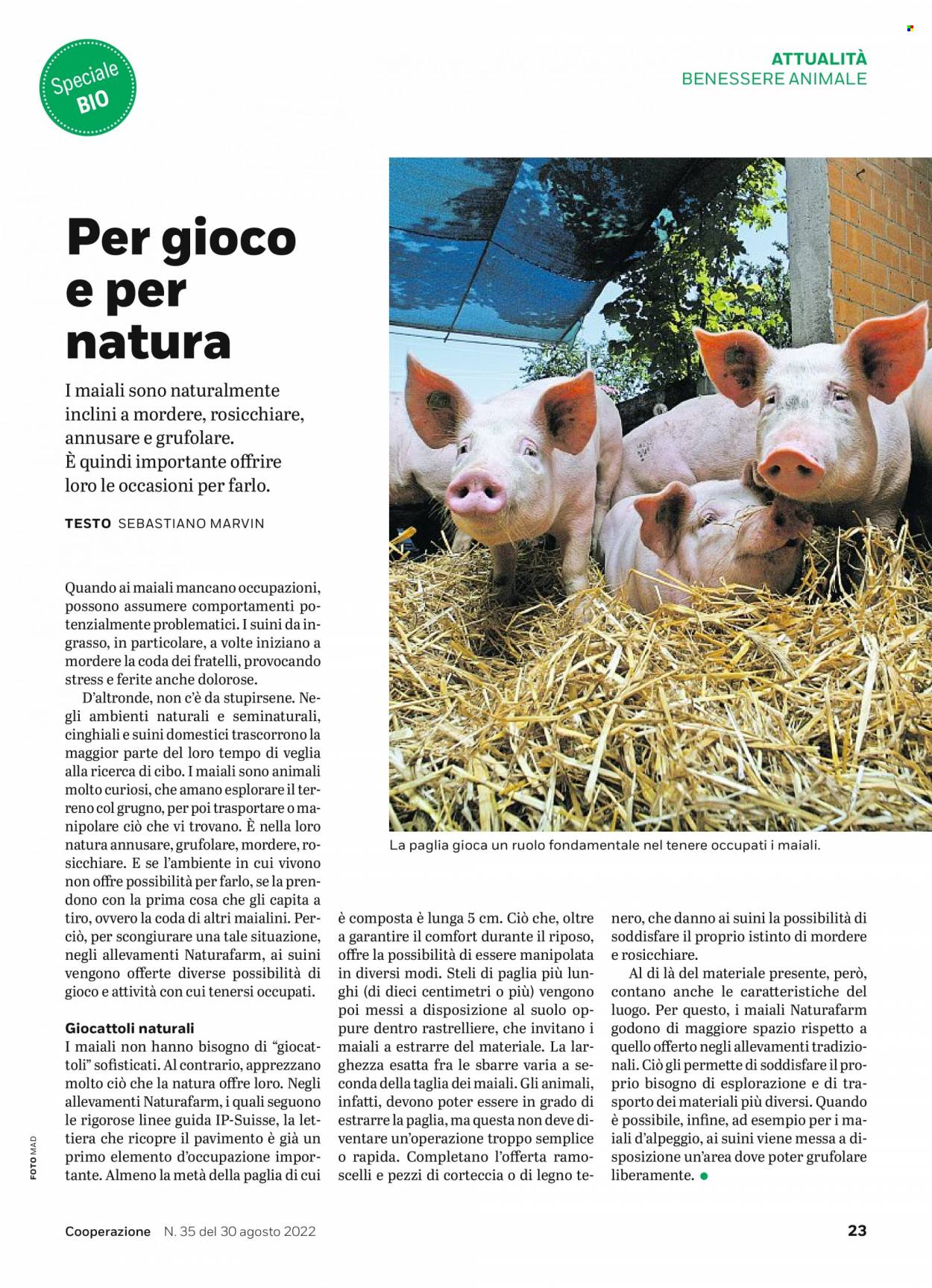 Volantino Coop - 30.8.2022 - 5.9.2022. Pagina 23