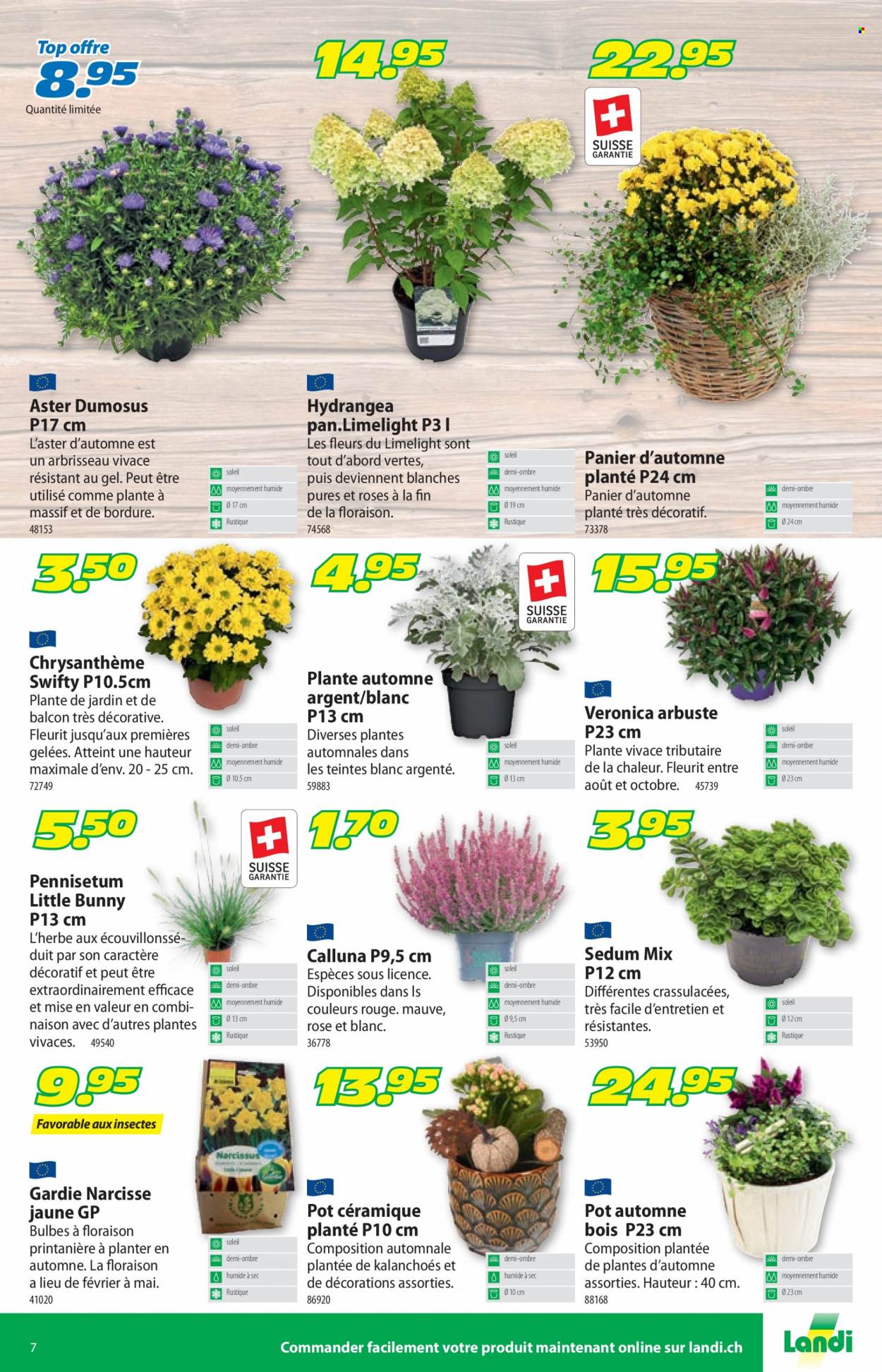 Catalogue Landi - 5.9.2022 - 17.9.2022. Page 11