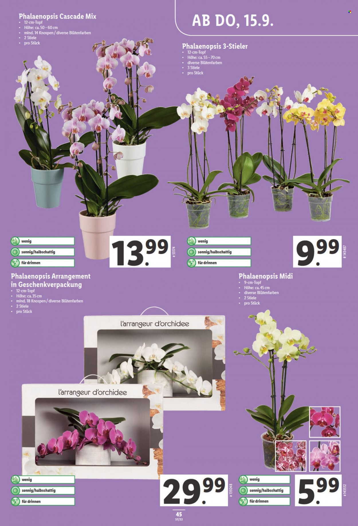 Volantino Lidl - 15.9.2022 - 21.9.2022. Pagina 45