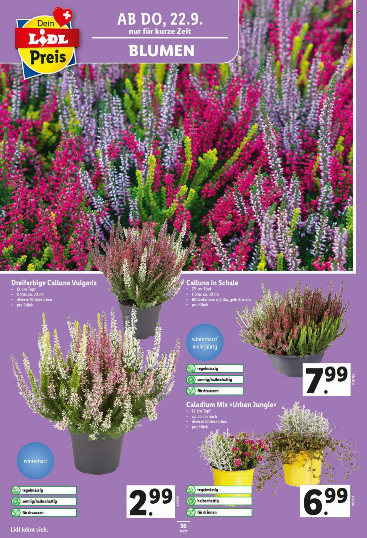 Volantino Lidl - 22.9.2022 - 28.9.2022. Pagina 30