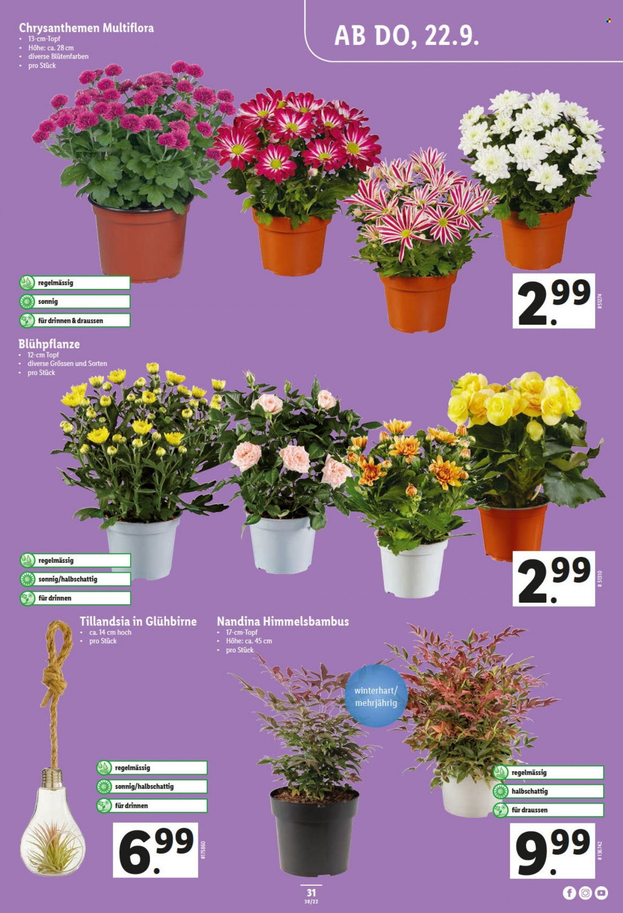 Volantino Lidl - 22.9.2022 - 28.9.2022. Pagina 31