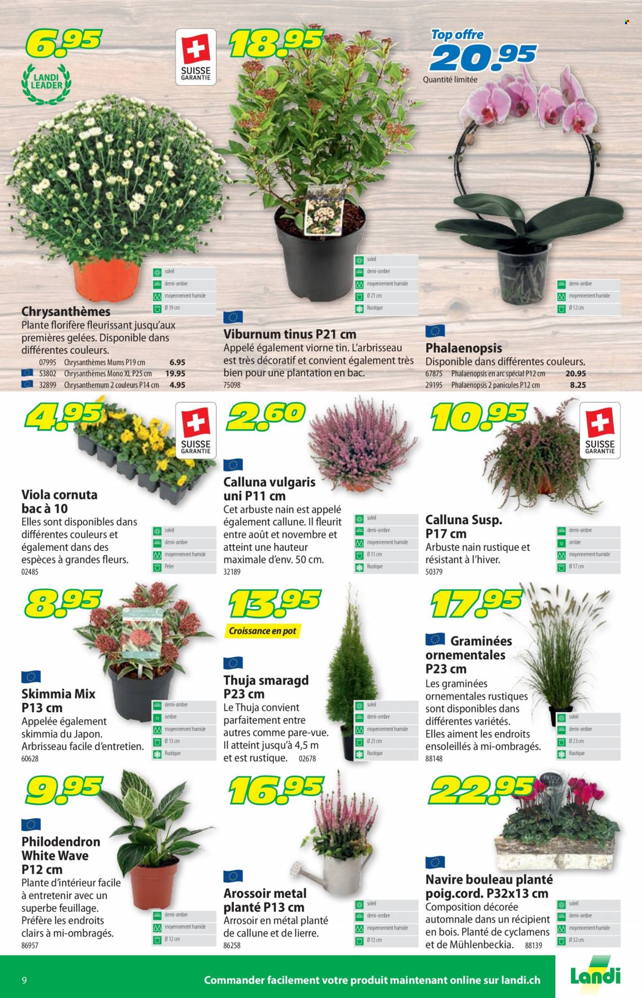 Volantino Landi - 19.9.2022 - 1.10.2022. Pagina 13