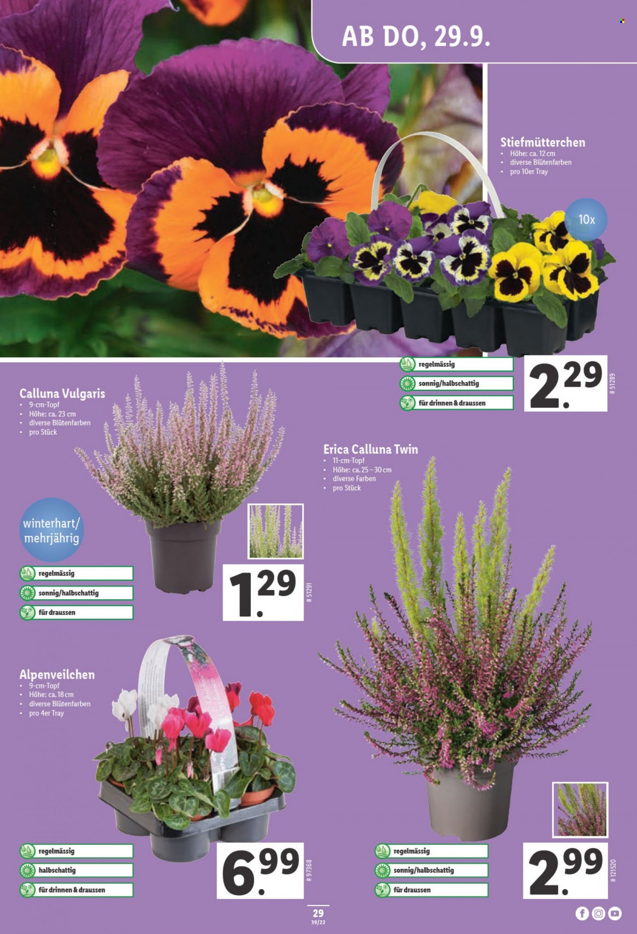 Volantino Lidl - 29.9.2022 - 5.10.2022. Pagina 29