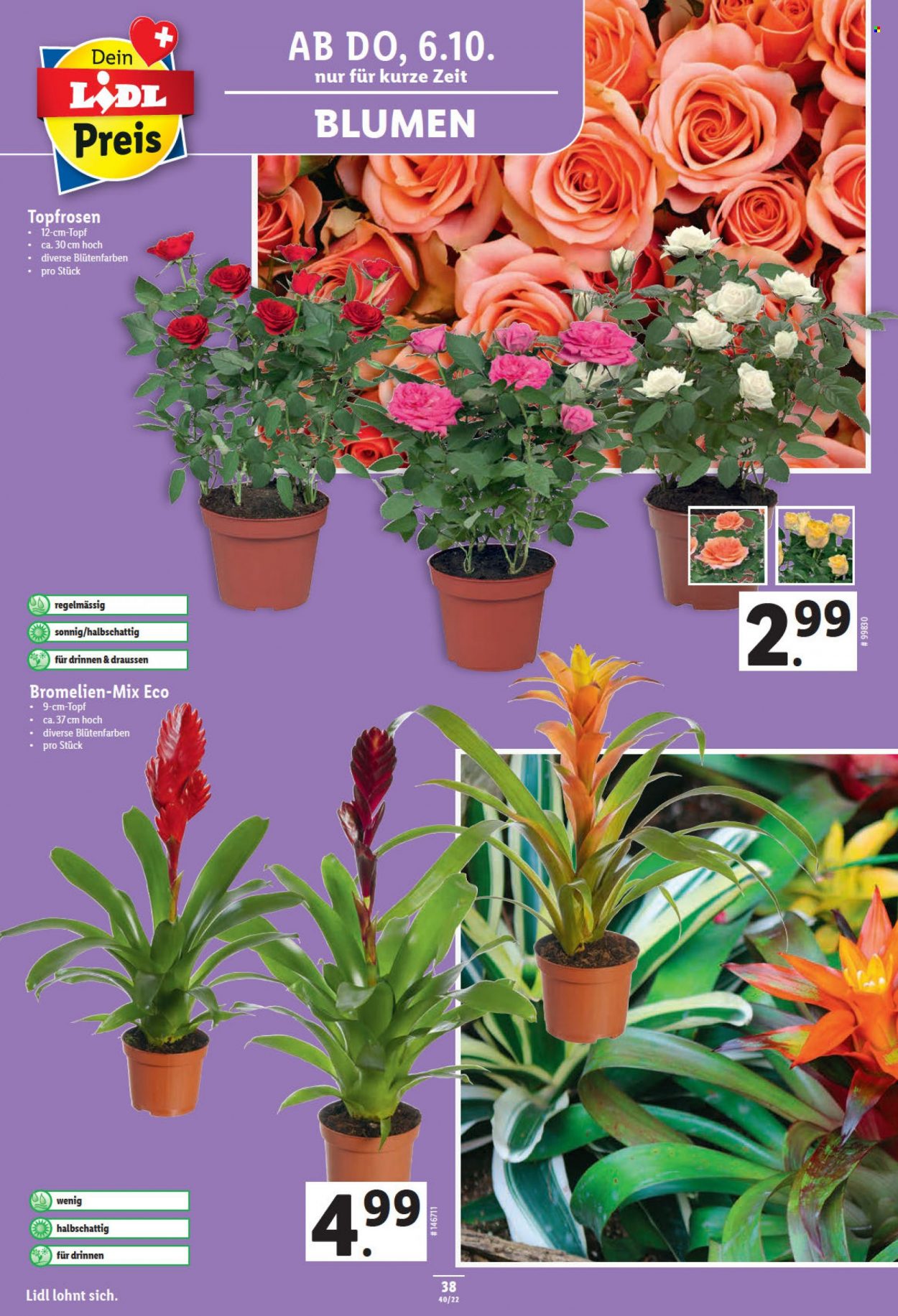 Prospekt Lidl - 6.10.2022 - 12.10.2022. Seite 38
