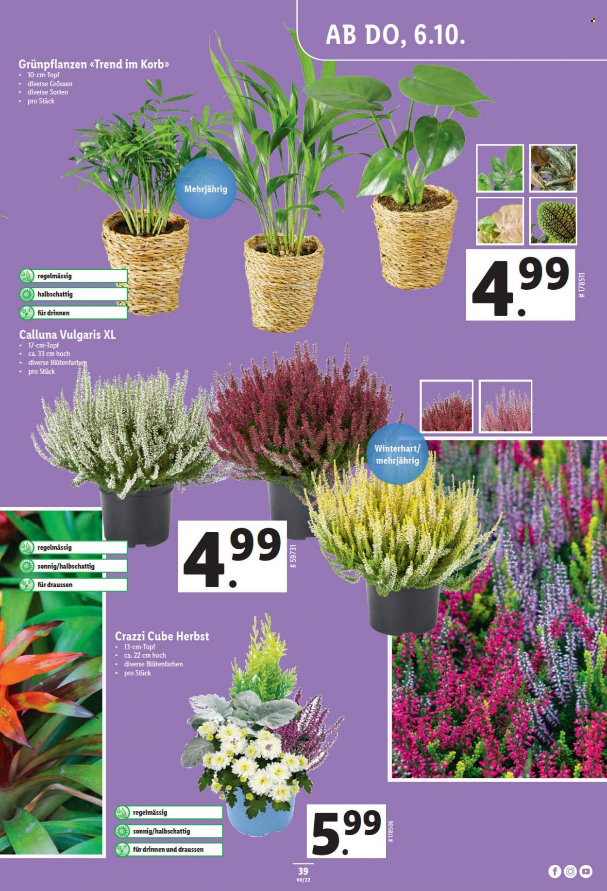 Prospekt Lidl - 6.10.2022 - 12.10.2022. Seite 39