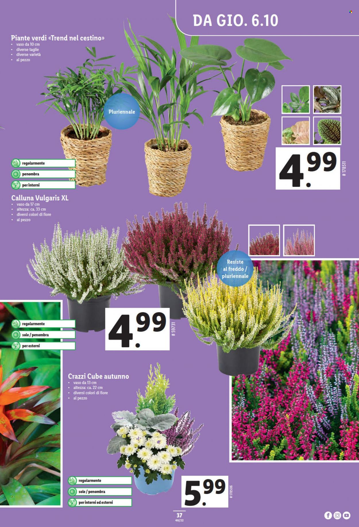 Prospekt Lidl - 6.10.2022 - 12.10.2022. Seite 37