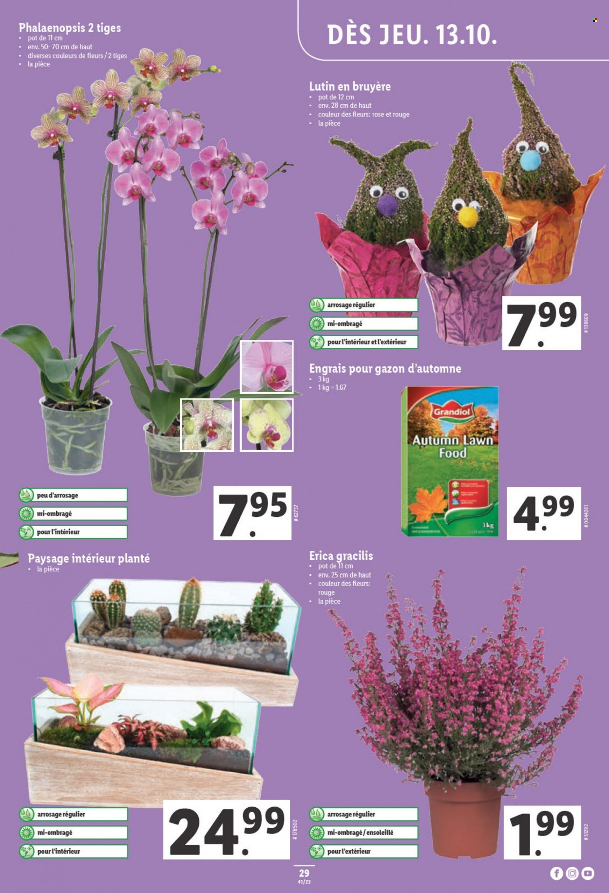Prospekt Lidl - 13.10.2022 - 19.10.2022. Seite 29