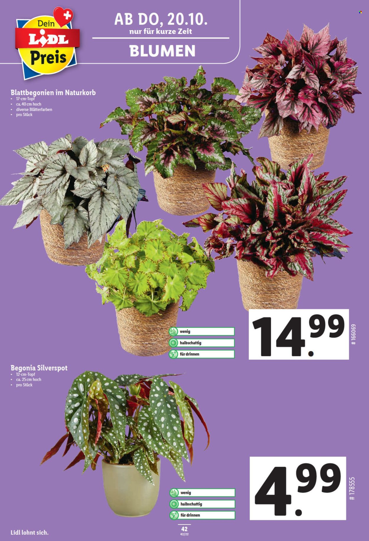 Prospekt Lidl - 20.10.2022 - 26.10.2022. Seite 42