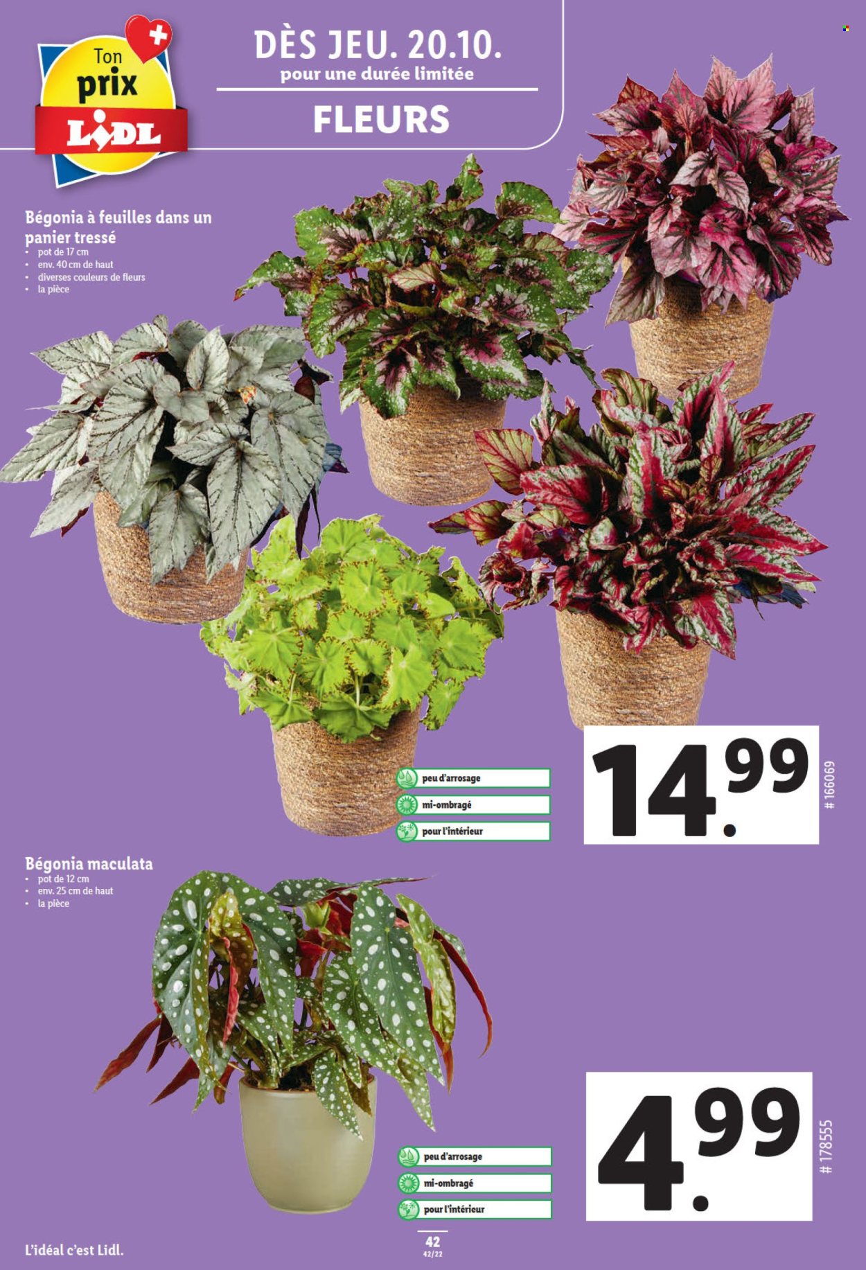 Prospekt Lidl - 20.10.2022 - 26.10.2022. Seite 42