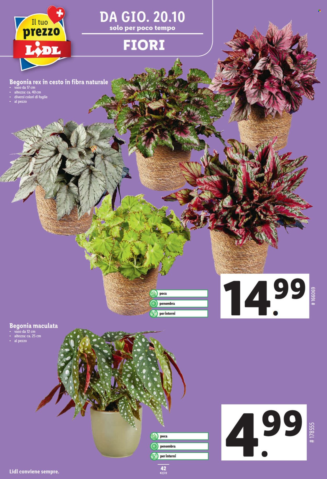 Prospekt Lidl - 20.10.2022 - 26.10.2022. Seite 42