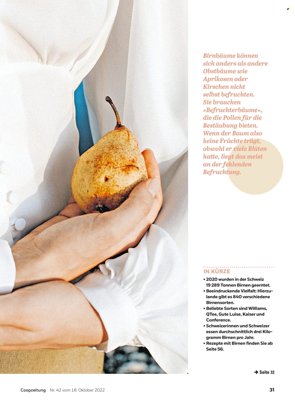 Volantino Coop - 18.10.2022 - 24.10.2022. Pagina 31