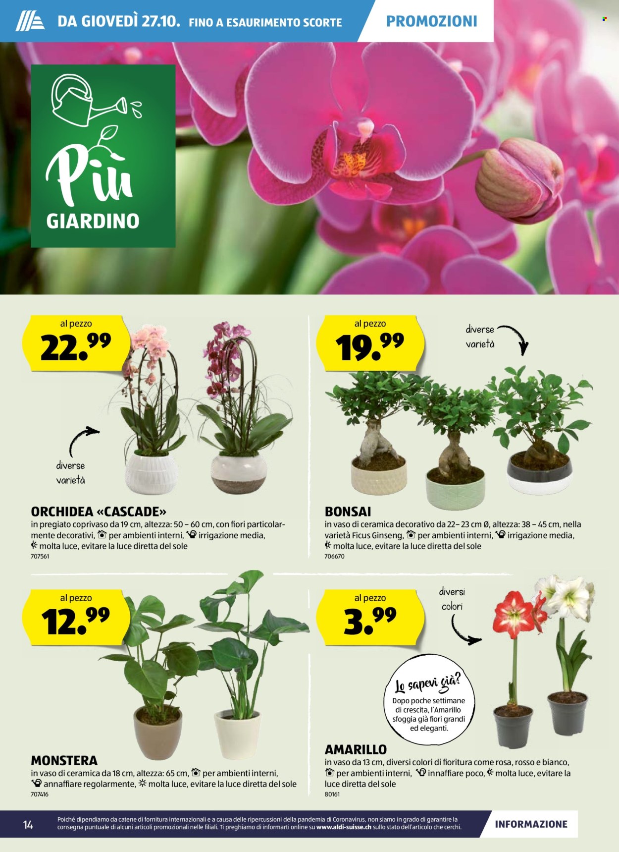 Volantino Aldi - 27.10.2022 - 2.11.2022. Pagina 14