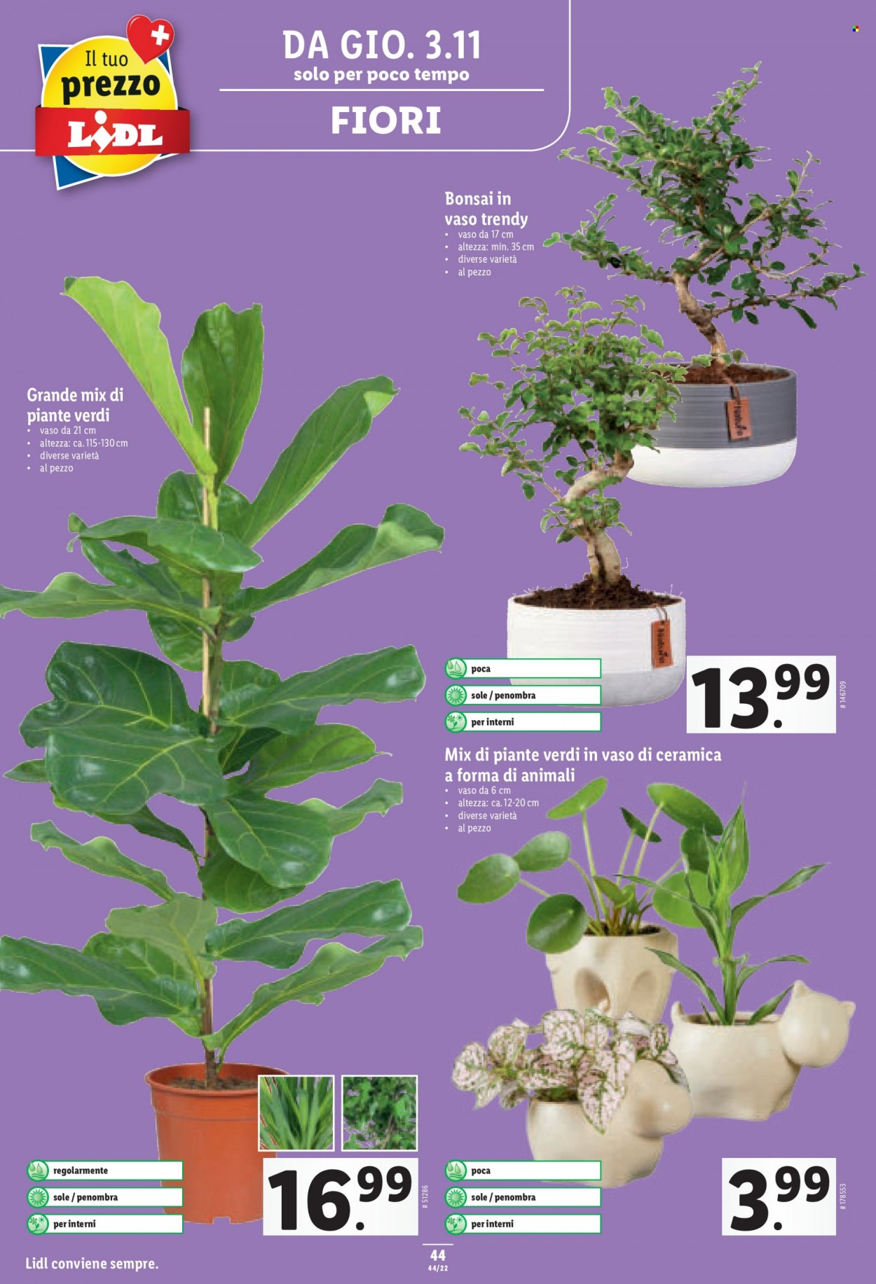 Volantino Lidl - 3.11.2022 - 9.11.2022. Pagina 44