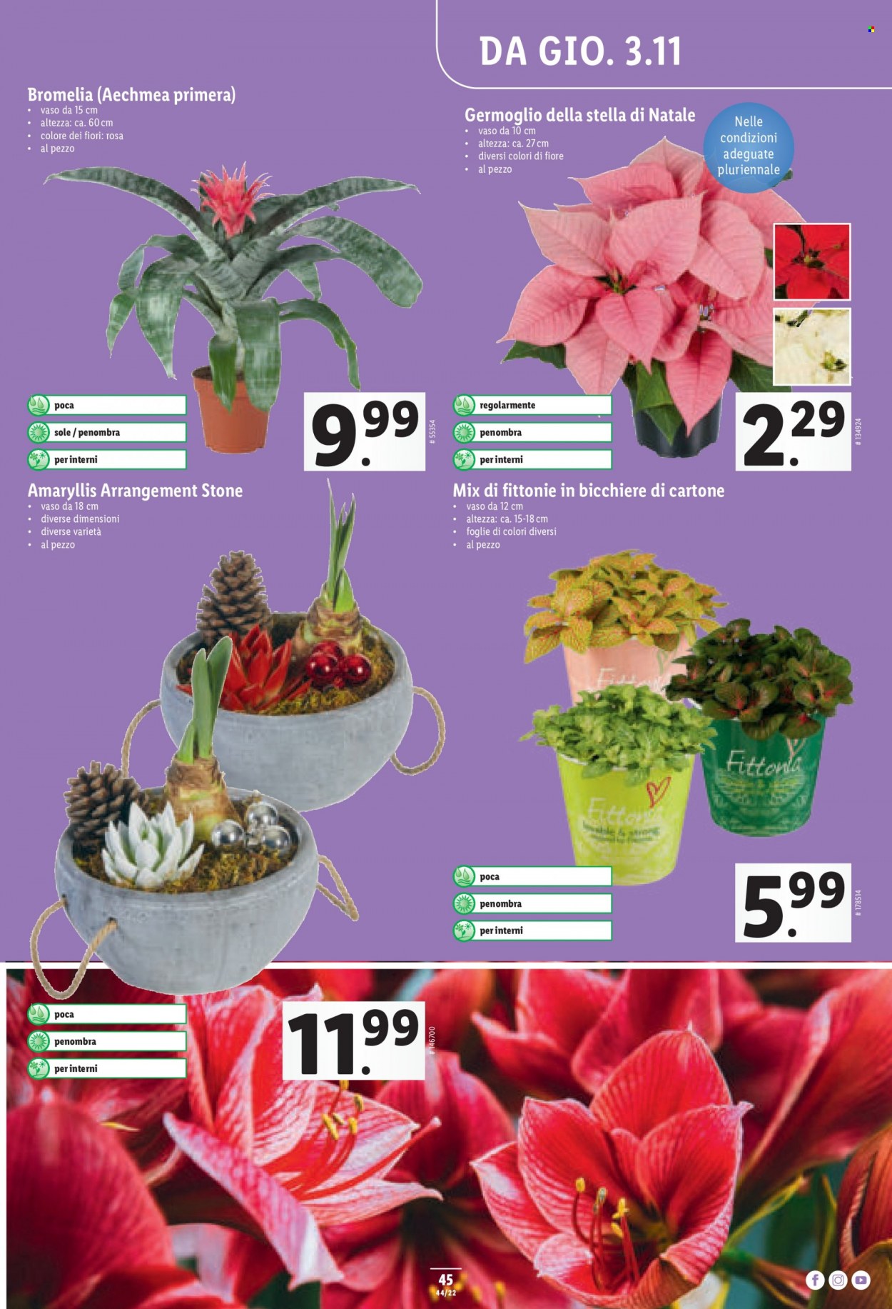 Volantino Lidl - 3.11.2022 - 9.11.2022. Pagina 45
