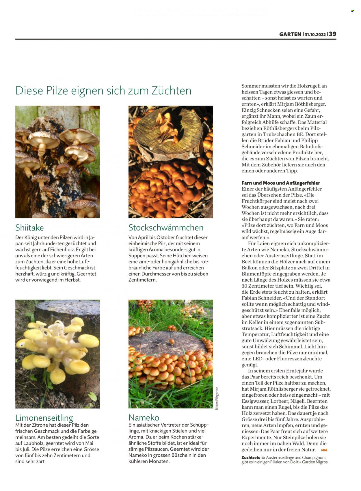Catalogue Migros - 31.10.2022 - 6.11.2022. Page 39