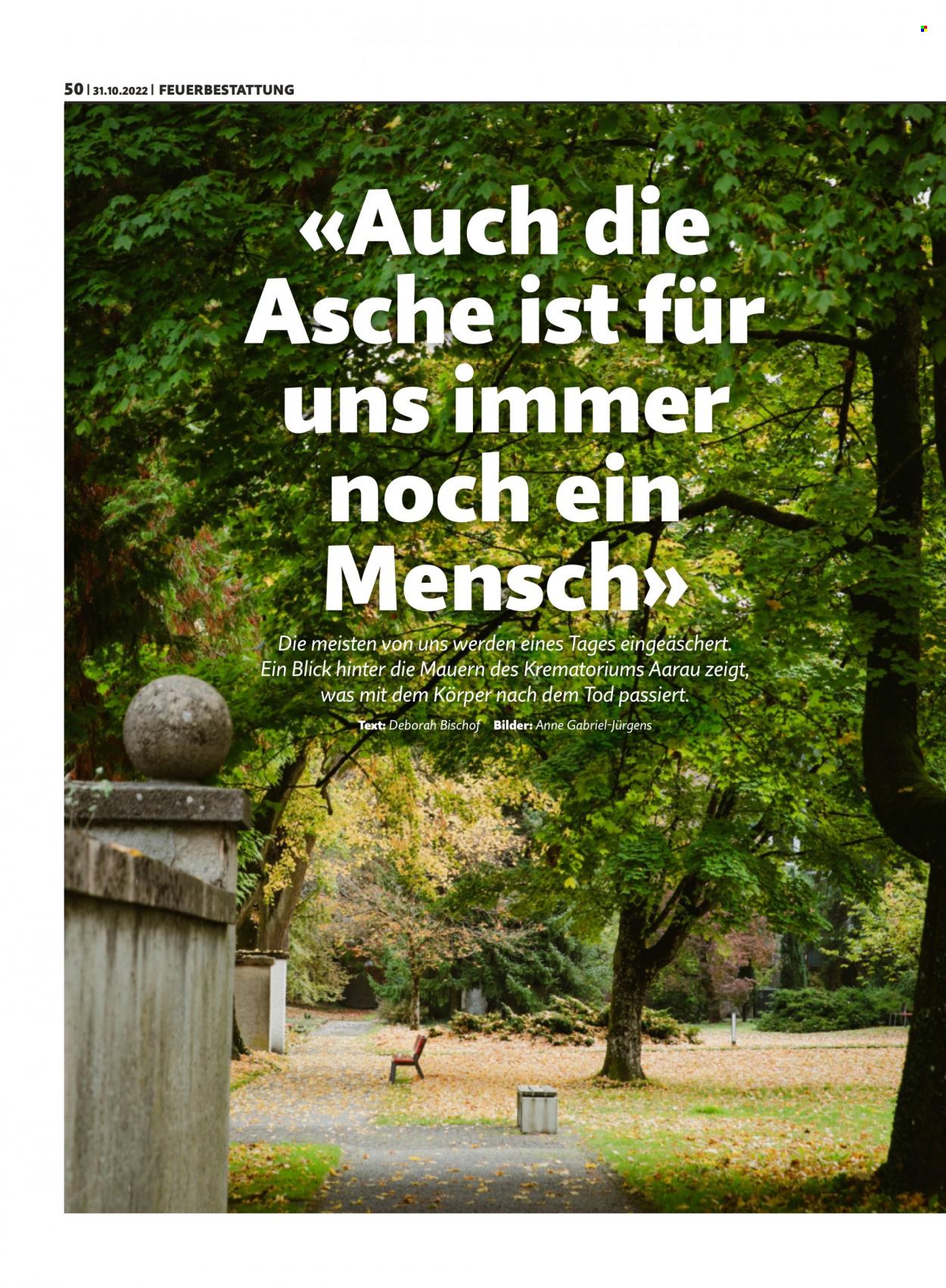Catalogue Migros - 31.10.2022 - 6.11.2022. Page 50