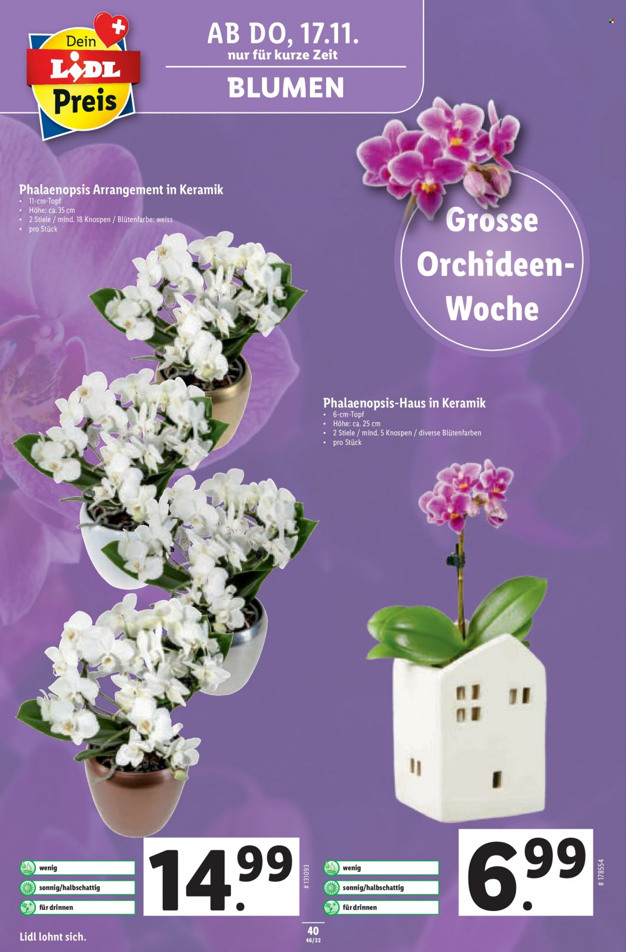Volantino Lidl - 17.11.2022 - 23.11.2022. Pagina 40